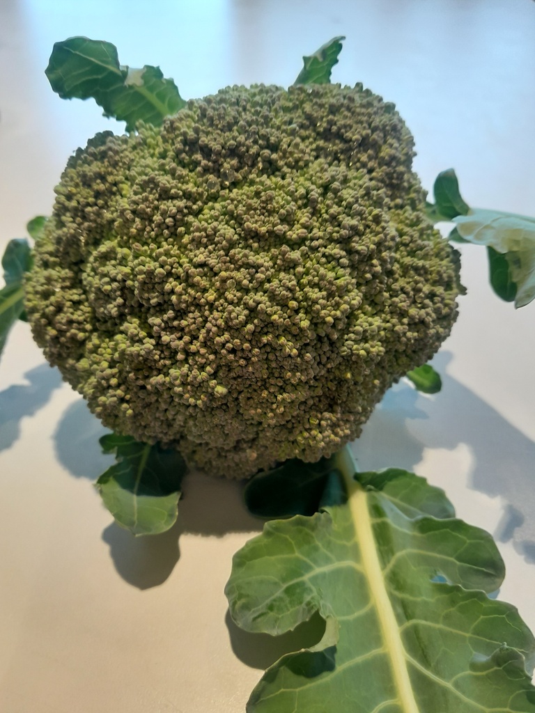 Bio-Broccoli ca.200g