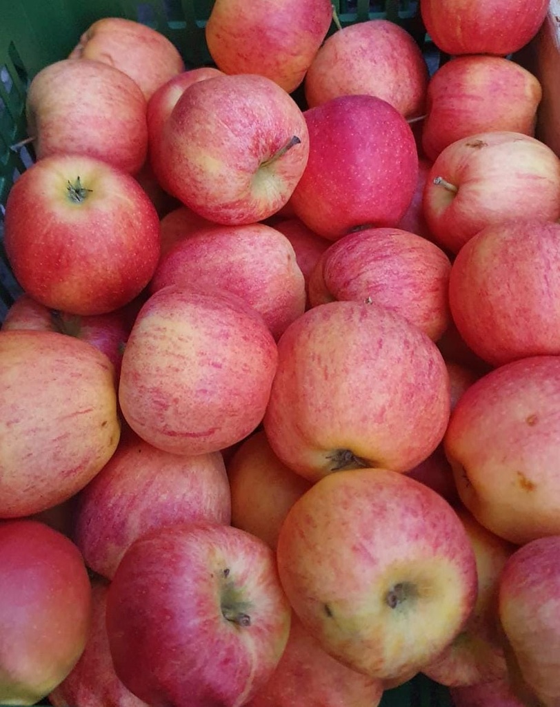 Äpfel Gala 1kg