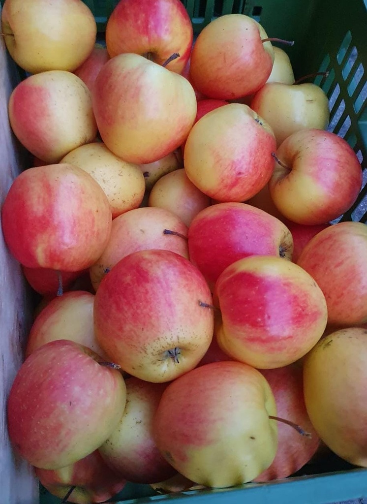 Äpfel Arlet 1 kg