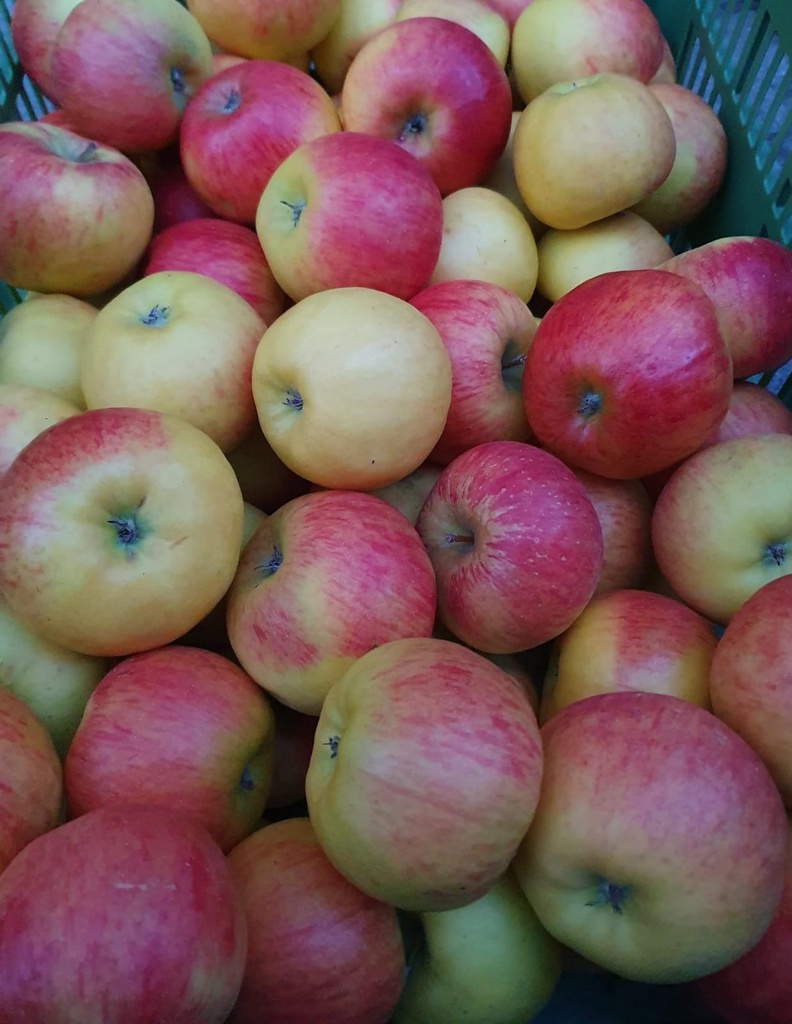 Äpfel  Topaz 1kg