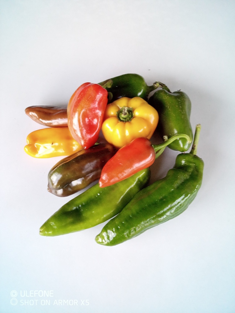 Bio-Paprika 500g