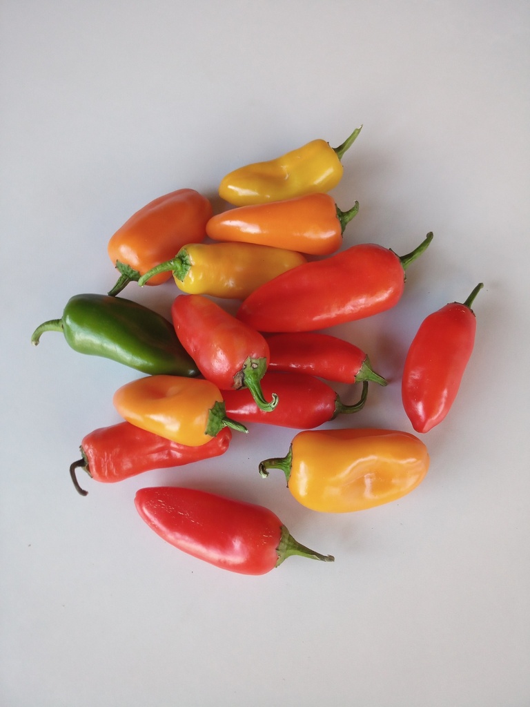 Bio-Snackpaprika 250g