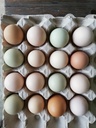 Bunte Bio Eier, 10 Stk.