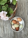 10 Stk Bio-Eier