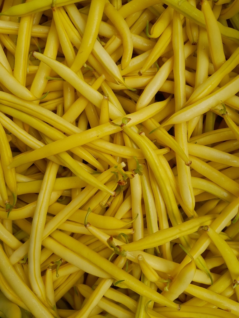 Bio-Fisolen gelb 500g