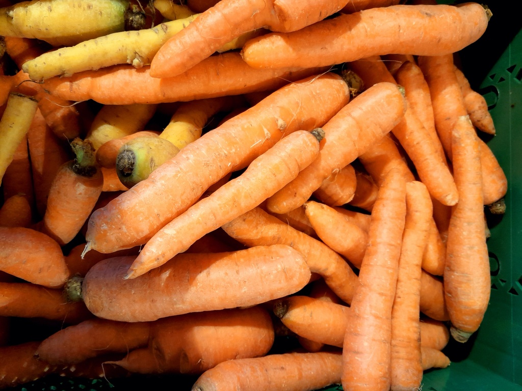 Bio-Karotten 1 kg