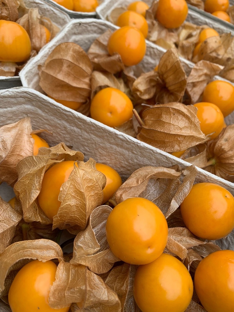 Physalis 0,5kg