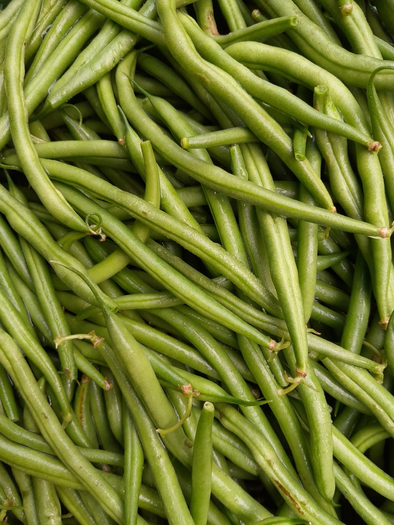 Bio-Fisolen grün 2 kg