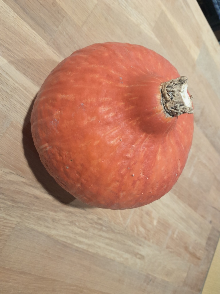 Bio-Kürbis Hokkaido