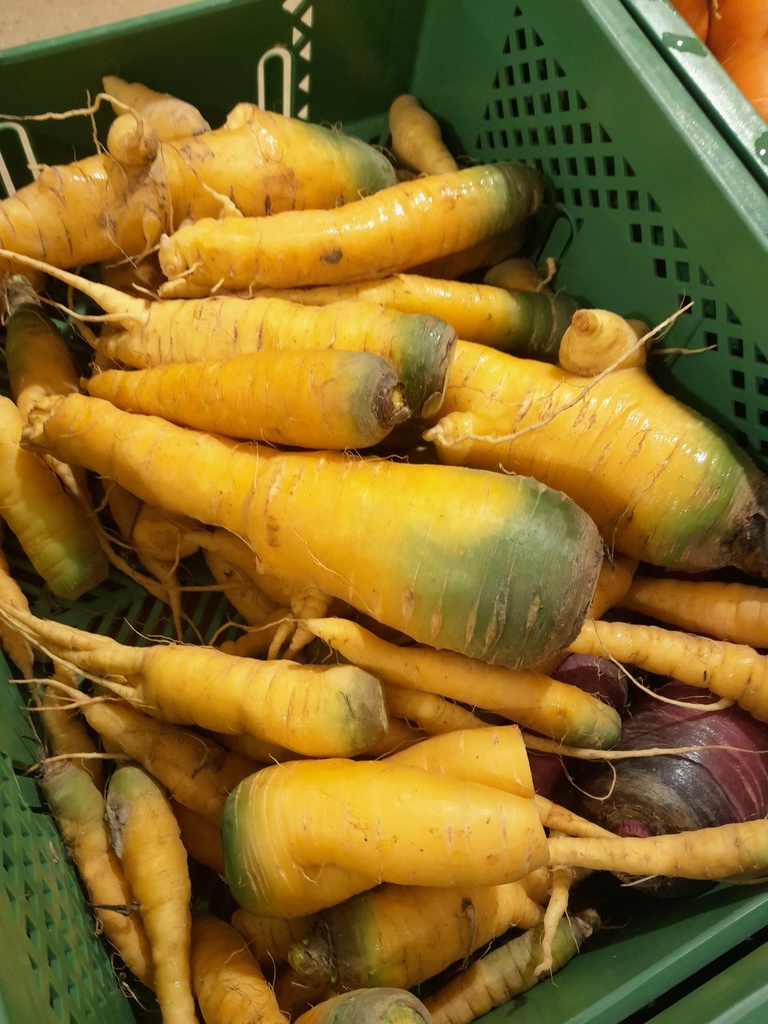 Bio-Karotten gelb 0,5 kg