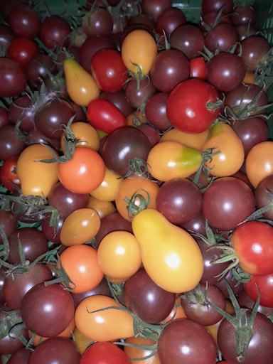 Bio Cocktailtomaten bunt 500g