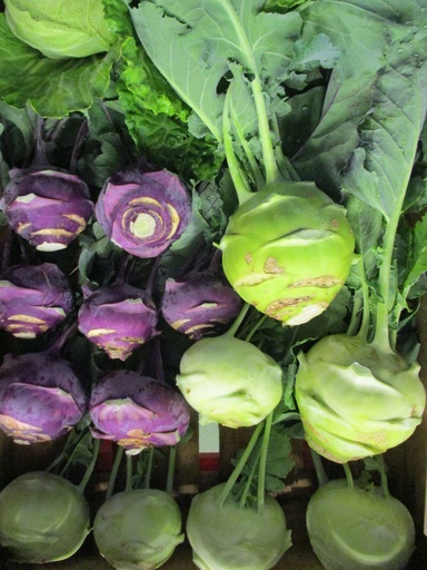 [Kohlrabi] Bio-Kohlrabi