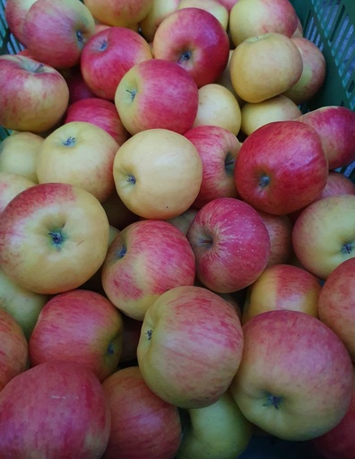 Äpfel  Topaz 1kg