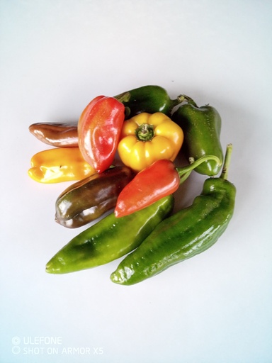 Bio-Paprika 500g