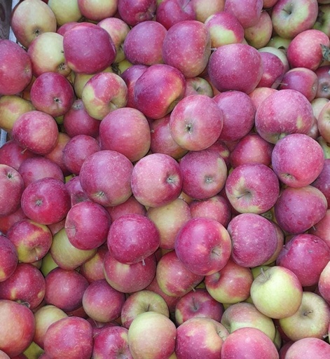 Äpfel Dalinette 1kg