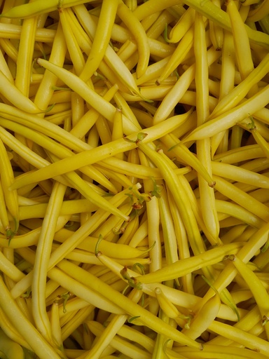 Bio-Fisolen gelb 500g