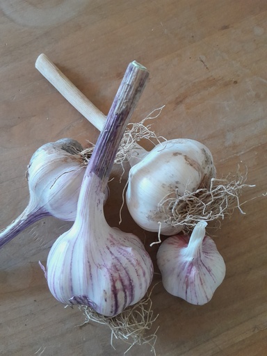 Bio- Knoblauch ca. 250g
