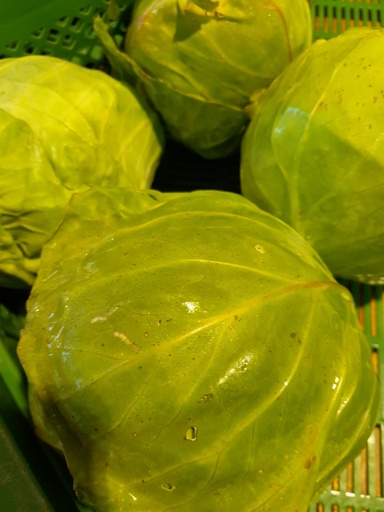 Bio-Frühkraut