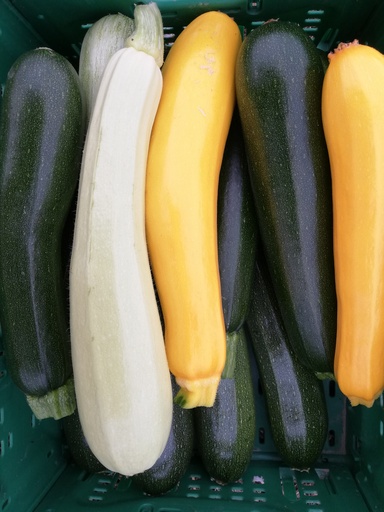 Bio Zucchini 0,5kg