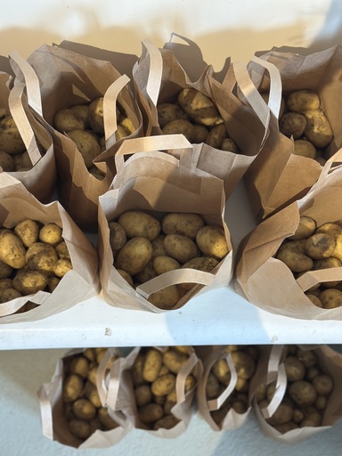 Bio Frühkartoffeln 2kg