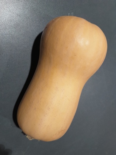 Bio-Kürbis Butternuss