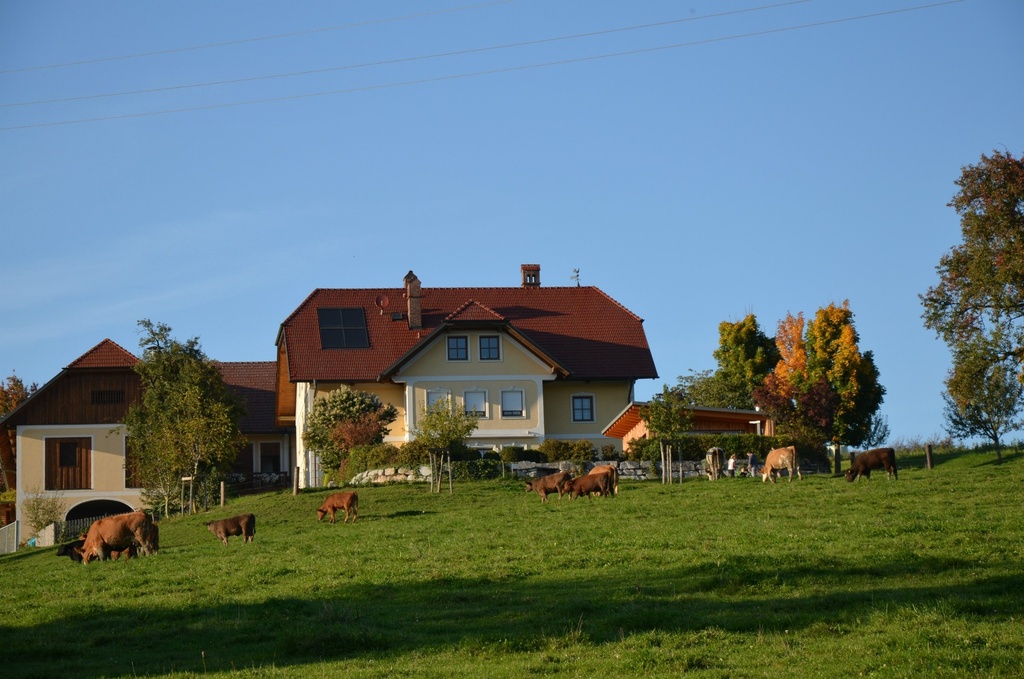 Rathbauernhof